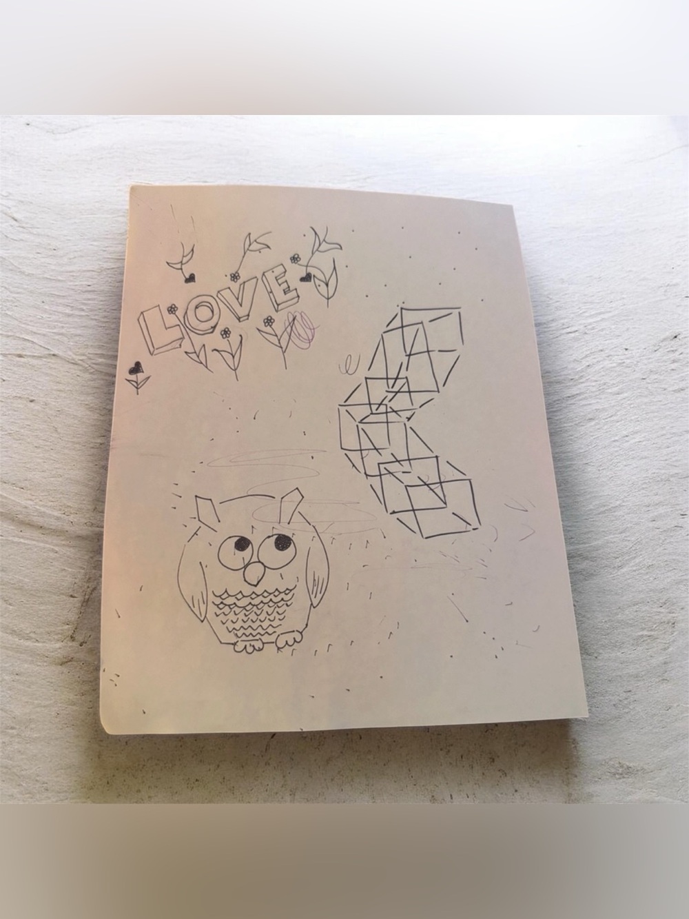 Hand-Drawn Owl and Geometric Doodle Art on White Paper